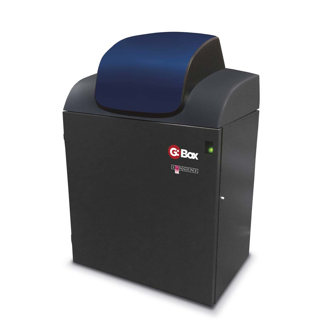 gbox-chemi-xrq-2018.png gbox-chemi-xrq-2018.png